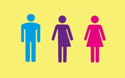 Le droit de rectification : l’interprétation chirurgicale de la CJUE