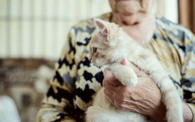 Les animaux de compagnie mieux accueillis en EHPAD : un cadre officiel entre droit des résidents et impératifs de sécurité