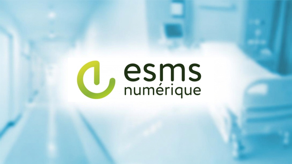 ESMS Numérique
